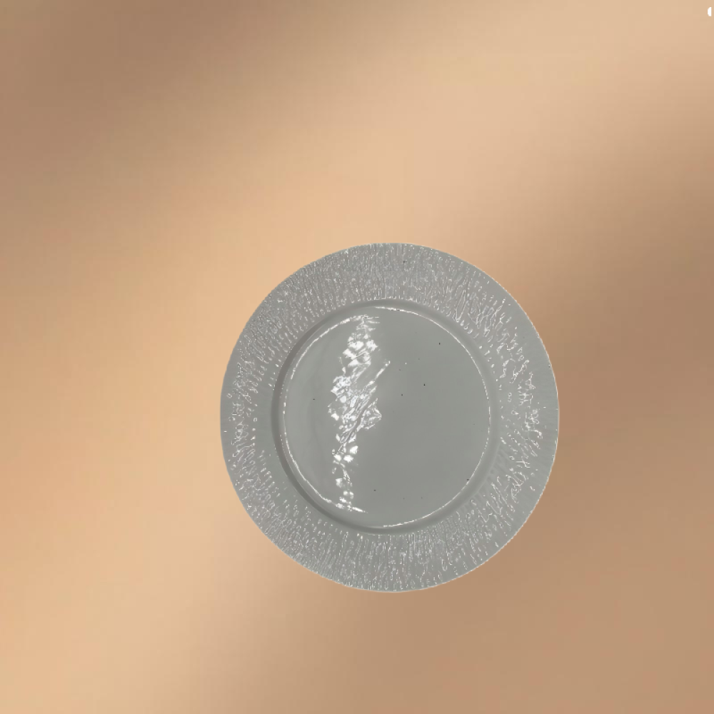 Porcelain Dinner Plate,Embossed Serving Dish