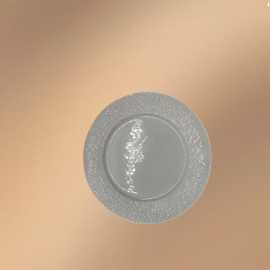 Porcelain Dinner Plate,Embossed Serving Dish