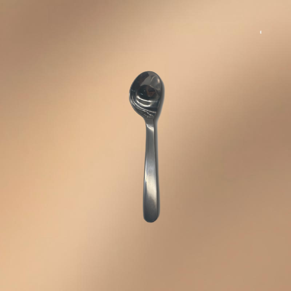 Silver Stainless Steel Long-Handled Multi-Purpose Spatula