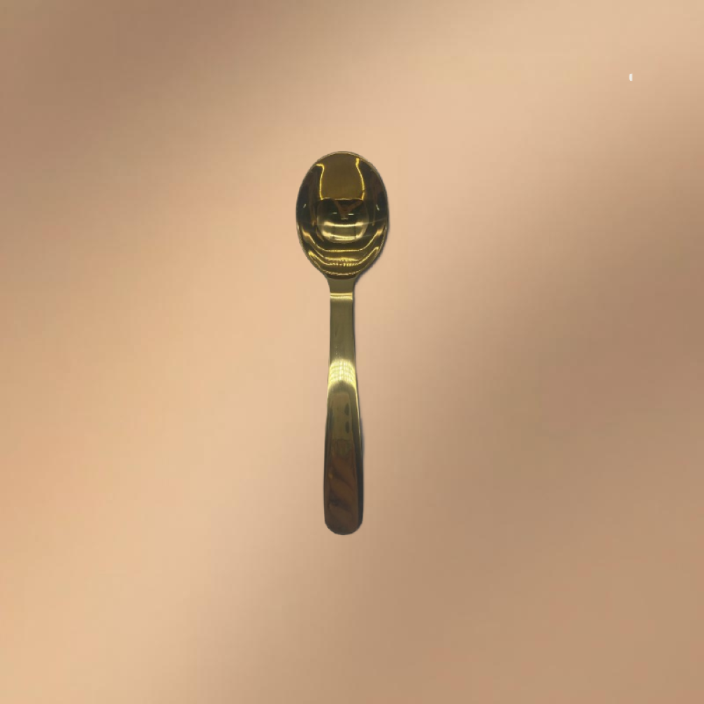 Golden Stainless Steel Long-Handled Multi-Purpose Spatula