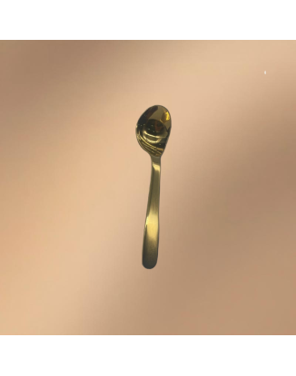 Golden Stainless Steel Long-Handled Multi-Purpose Spatula