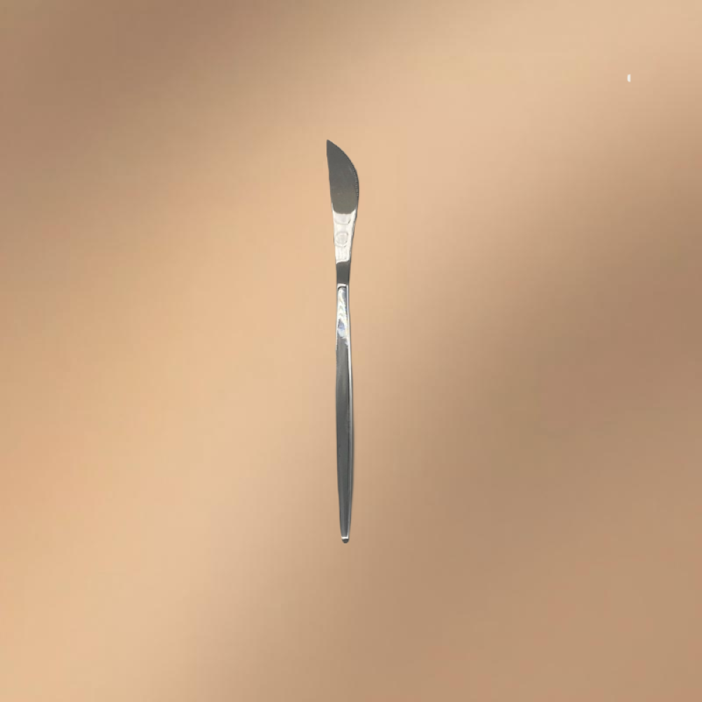 Silver Stainless Steel 16-Piece Dining Set