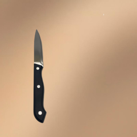 Silver Stainless Steel 24-Piece Western Dining Set