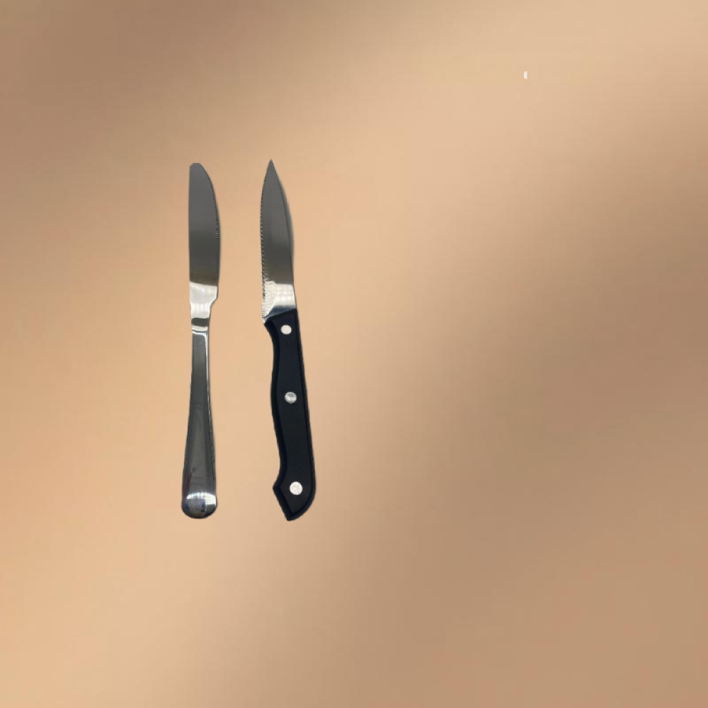 Silver Stainless Steel 24-Piece Western Dining Set