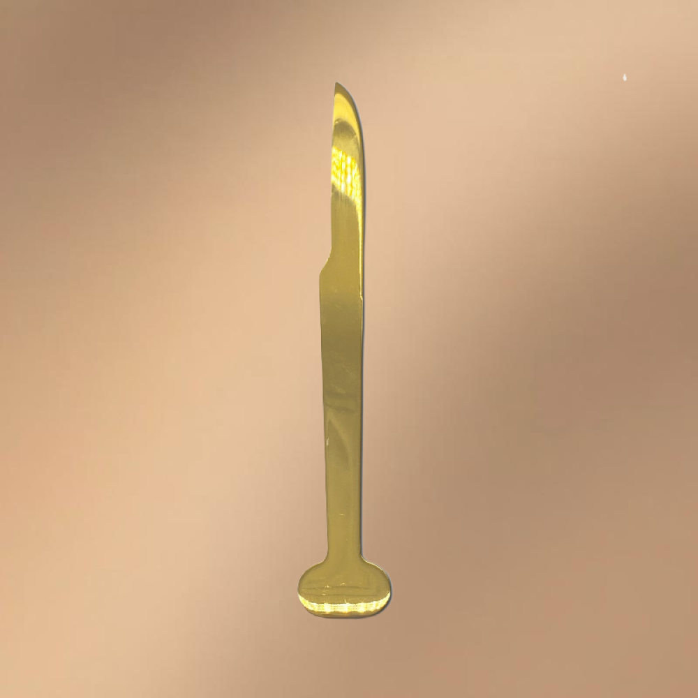 Golden Stainless Steel Dessert Knife (With Logo Printing Capability)