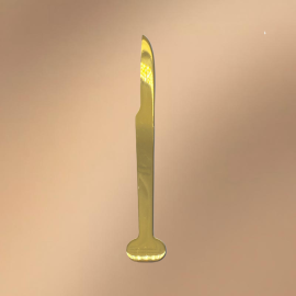 Golden Stainless Steel Dessert Knife (With Logo Printing Capability)