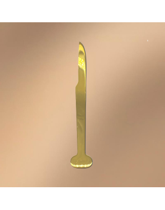 Golden Stainless Steel Dessert Knife (With Logo Printing Capability)