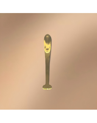 Golden Stainless Steel Dessert Spoon (With Logo Printing Capability)