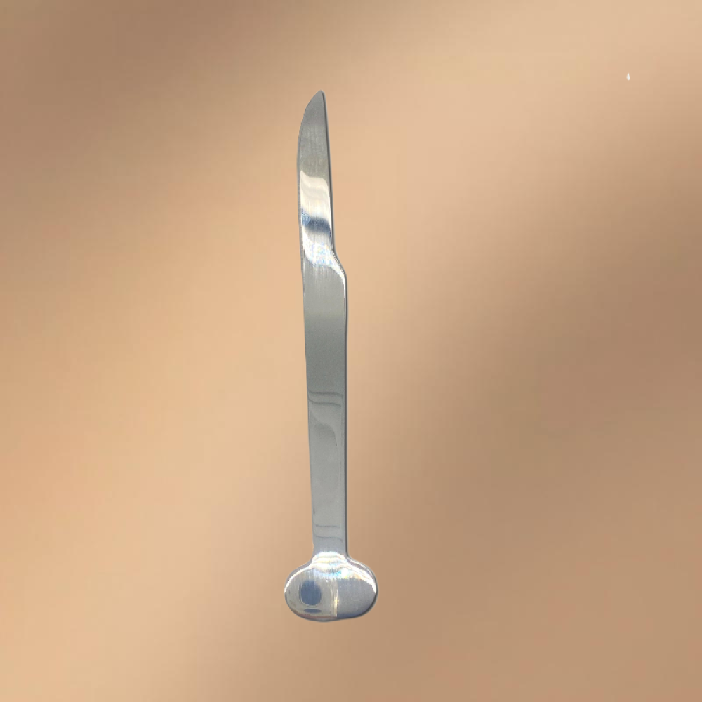 Silver Stainless Steel Dessert Knife (With Logo Printing Capability)