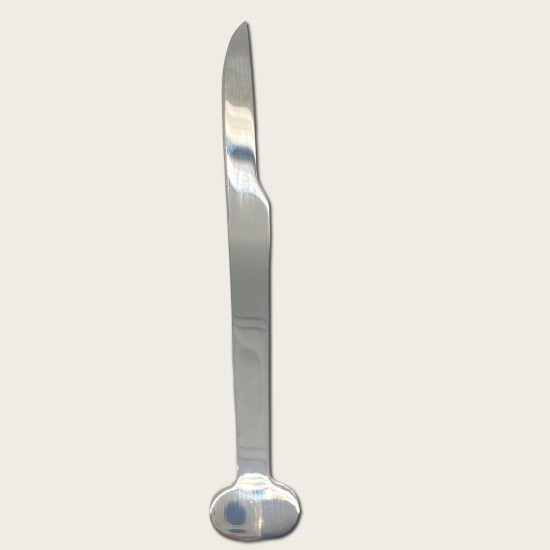 Silver Stainless Steel Dessert Knife (With Logo Printing Capability)
