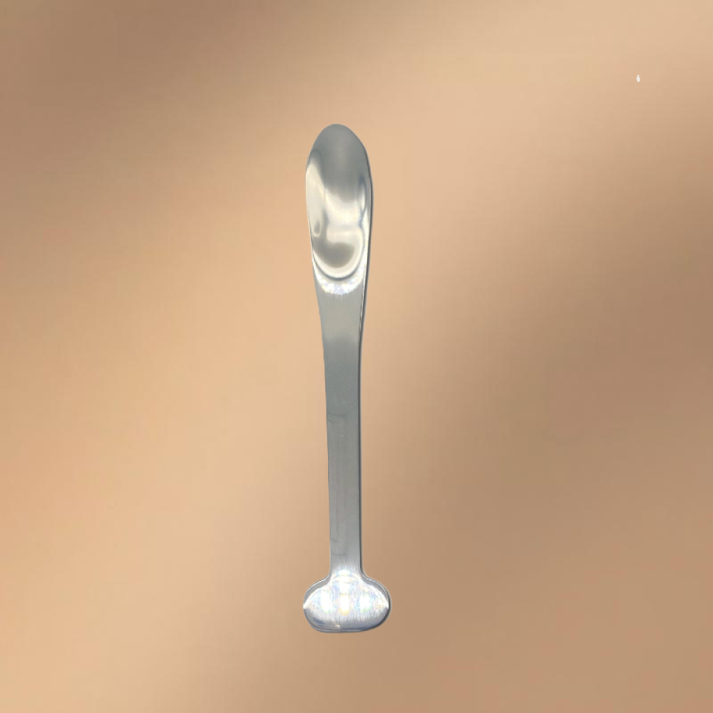Silver Stainless Steel Dessert Spoon (With Logo Printing Capability)
