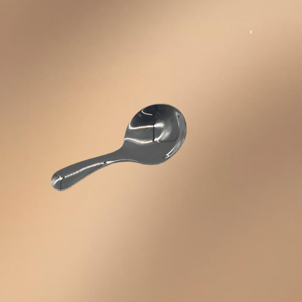 Stainless Steel Short-Handled Spoon