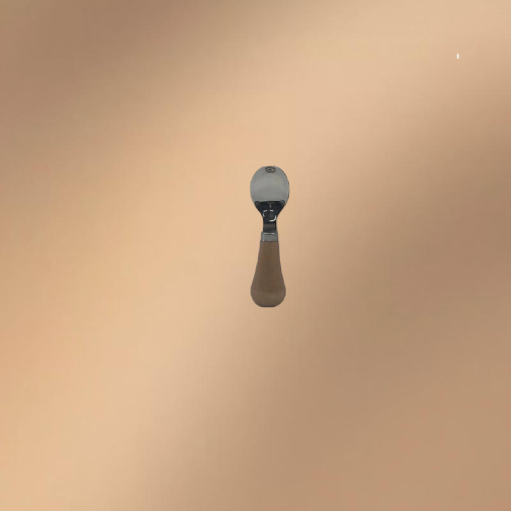 Stainless Steel Short Wooden-Handled Mini Spoon